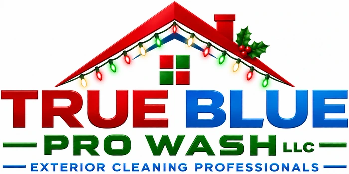 True Blue Pro Wash holiday logo with red, blue and green lettering and Christmas lights