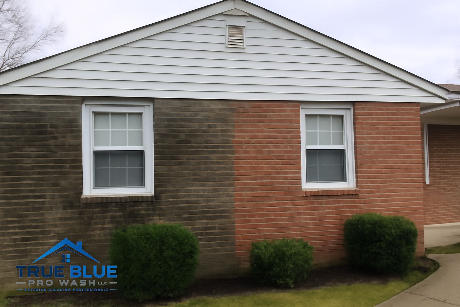 Green algae and mildew staining on a brick home exterior in Wilmington, Delaware before soft washing