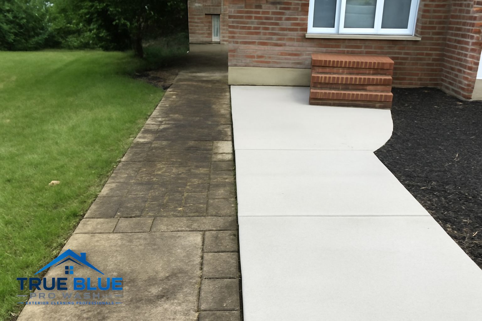Algae-covered concrete patio before cleaning in Kennett Square PA