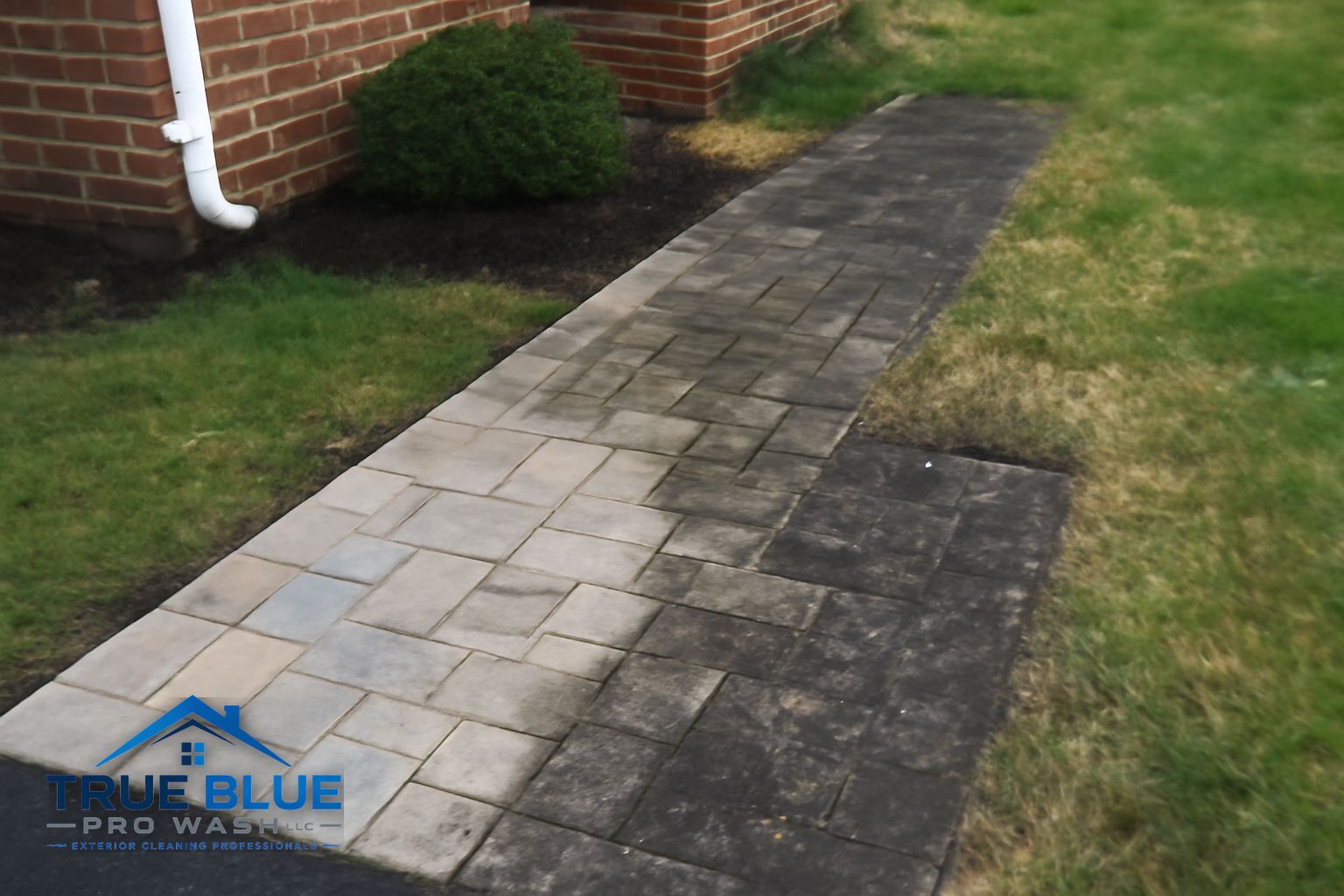Cleaned brick paver patio in Delaware after professional washing