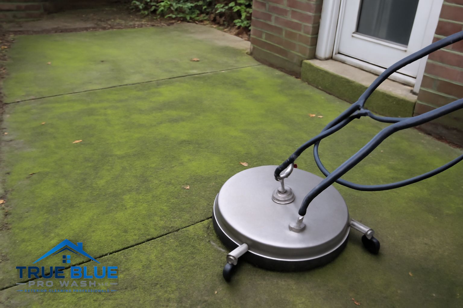 Green algae on shaded concrete patio in Wilmington Delaware 19806 before pressure washing