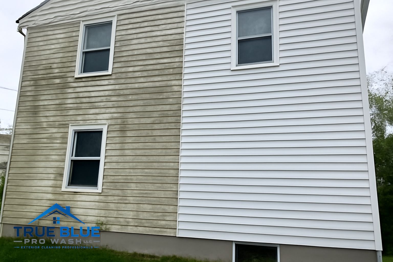Green algae and mildew on vinyl siding of a Wilmington Delaware home before soft washing