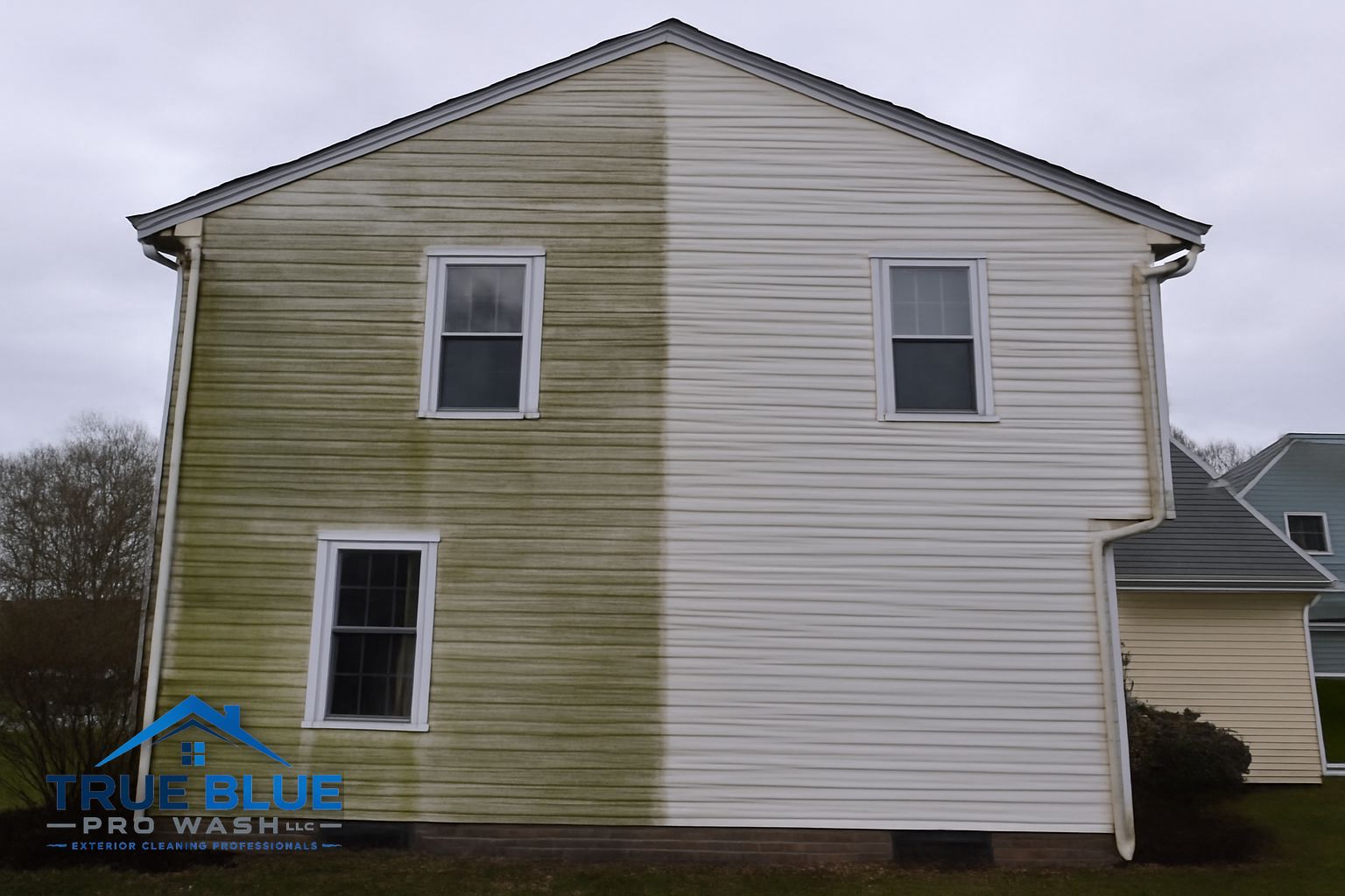 Green algae and mildew buildup on vinyl siding of a Brandywine Hundred home in Wilmington Delaware