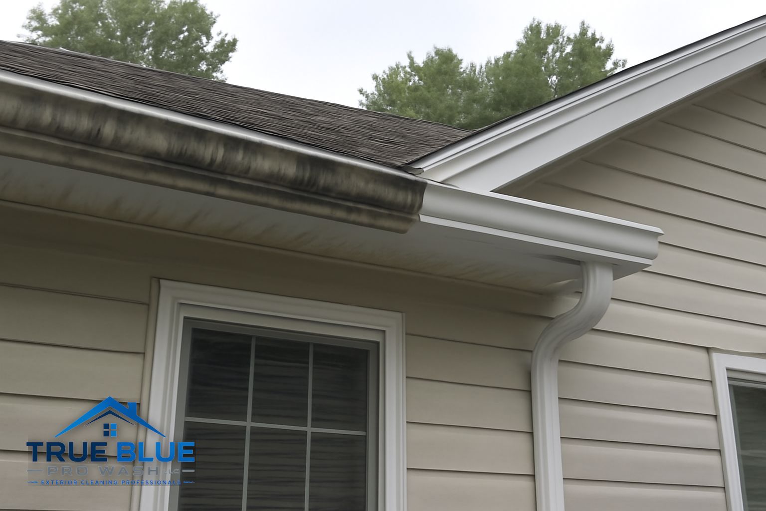 Technician cleaning packed leaf debris from gutters on a Hockessin home