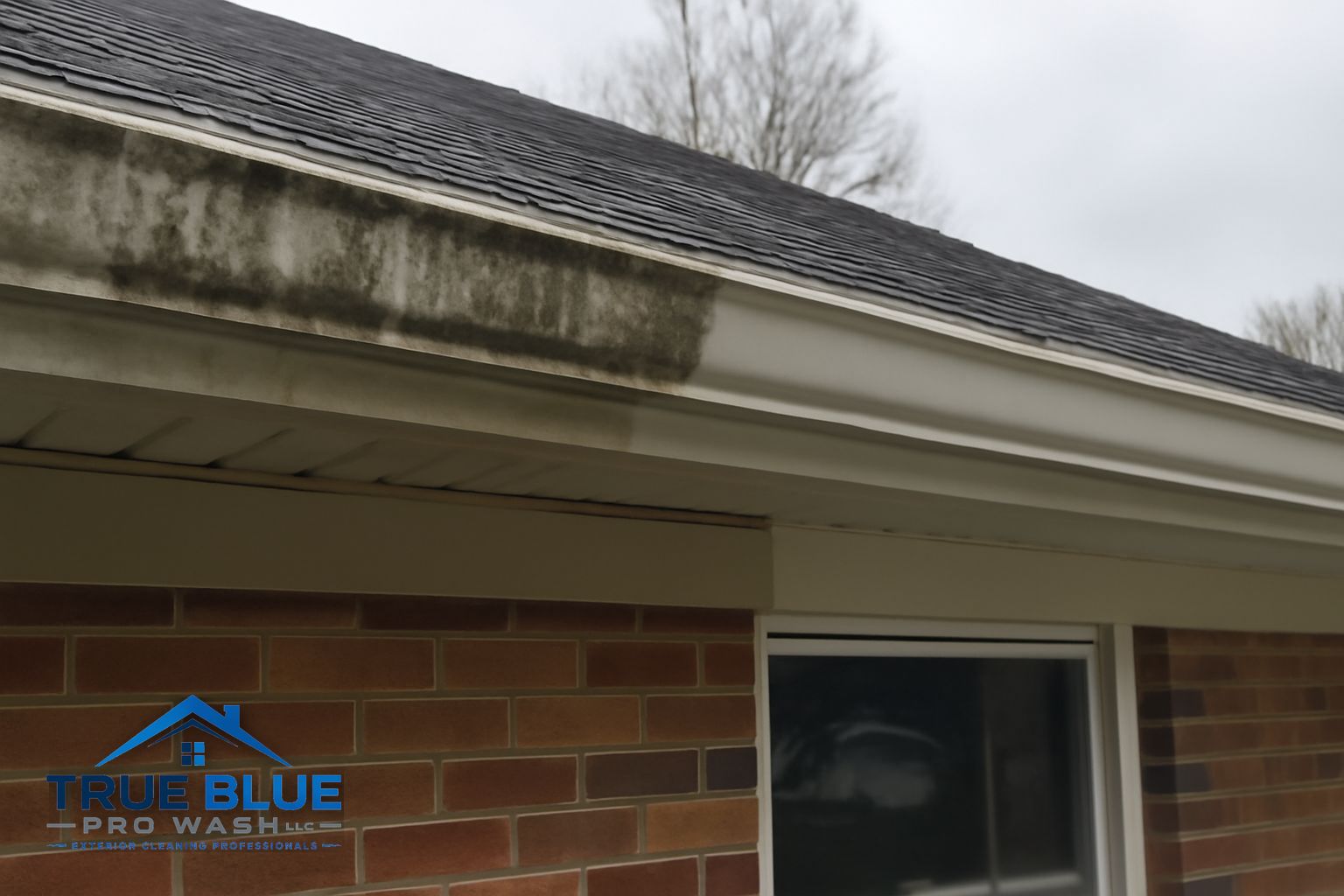 Gutter guard installation on a Newark, DE home surrounded by mature trees