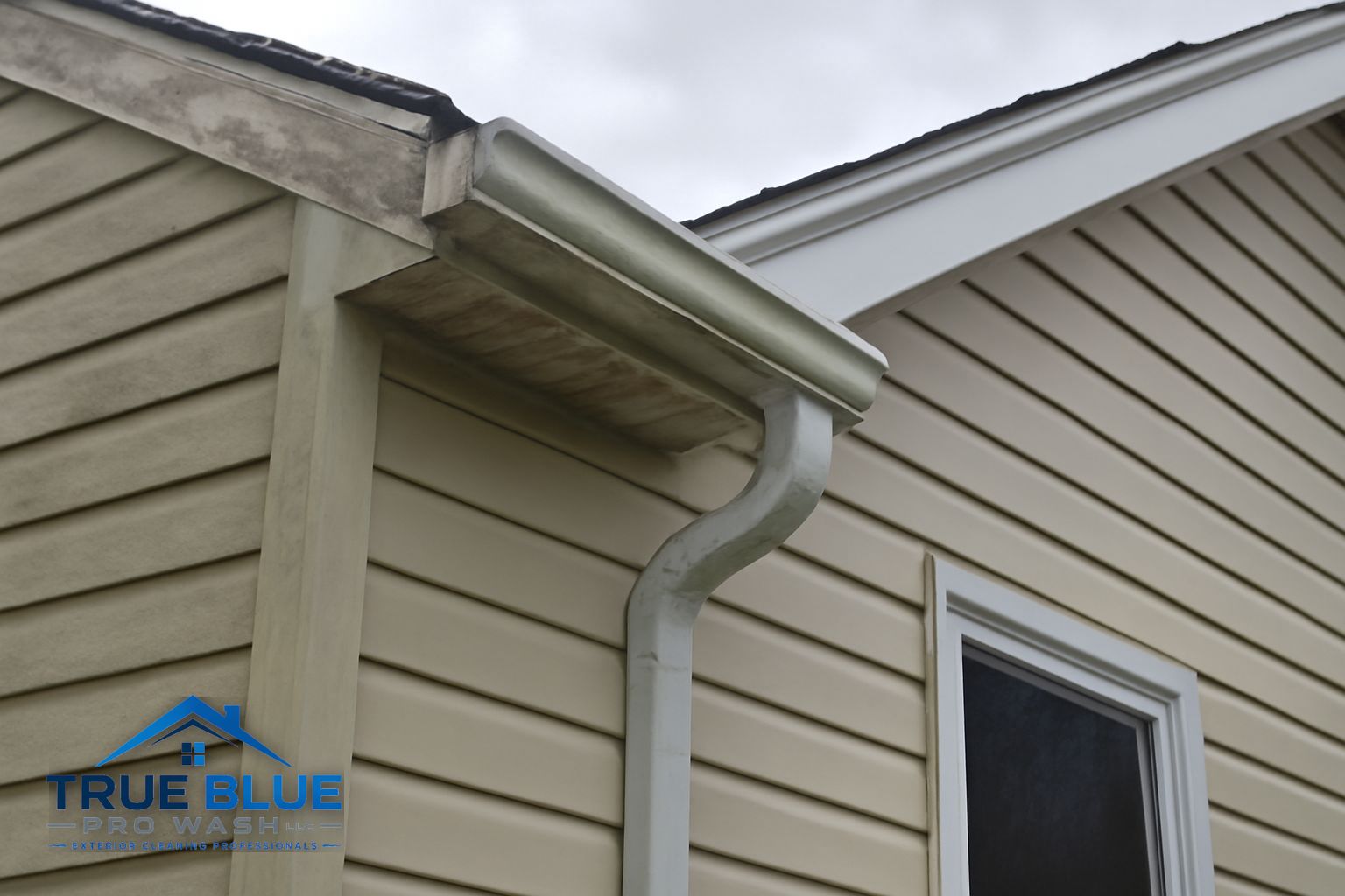 Clogged gutters packed with debris on a Salem County NJ home
