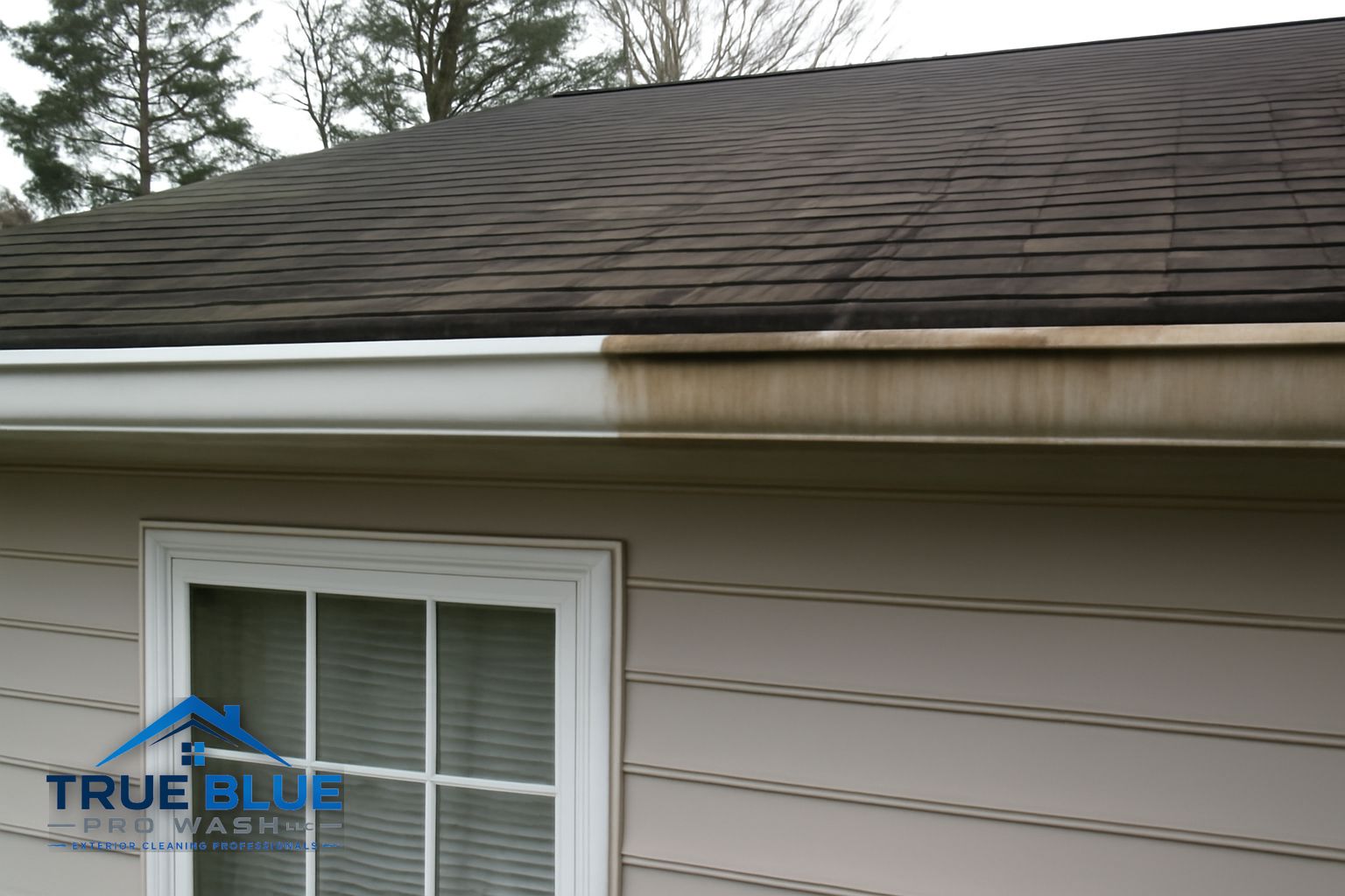 Clean, brightened gutters on a New Jersey home after True Blue Pro Wash service