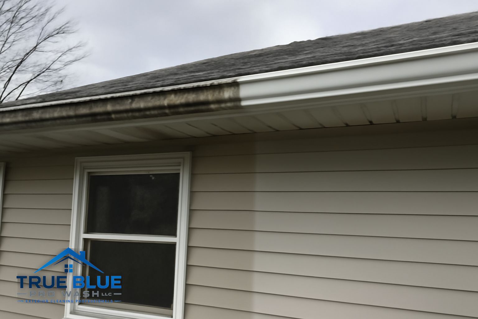 Gutter packed with leaves and organic debris on a Wilmington Delaware home before cleaning