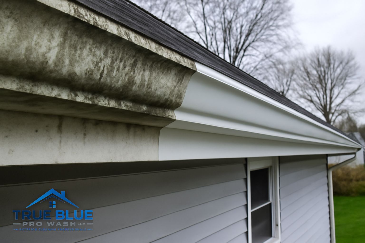 Gunky leaf-packed gutter on a Brandywine Hundred home before cleaning