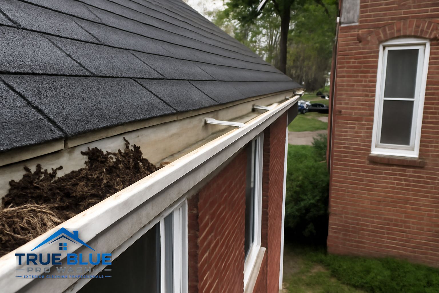 Exterior buildup relevant to gutter cleaning