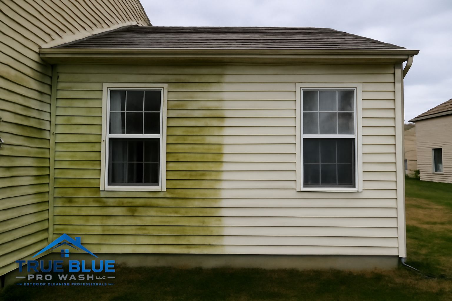 Green algae and mildew streaks on vinyl siding of a Bear, Delaware home before soft washing