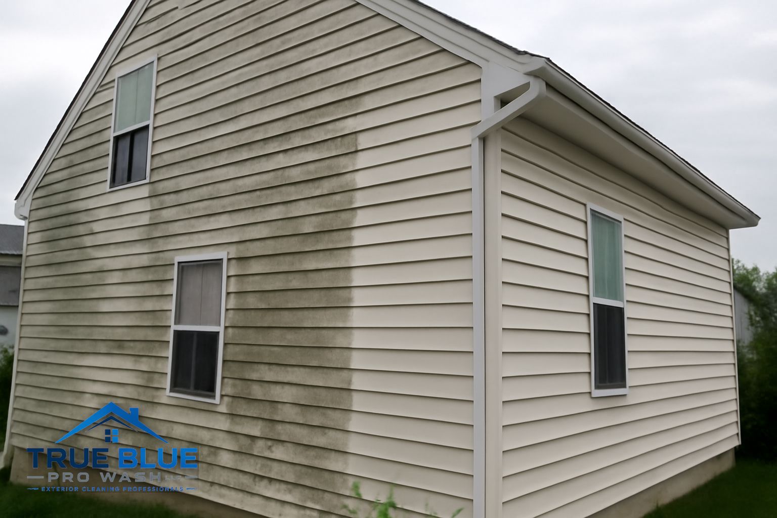 Green algae and mildew on vinyl siding of a Bear Delaware home before soft washing