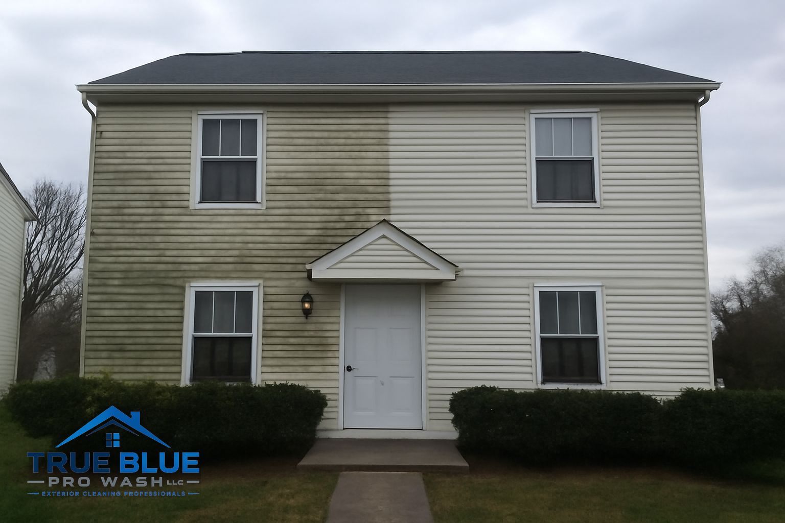 Green algae and mildew on the north-facing vinyl siding of a Chester County home before soft washing