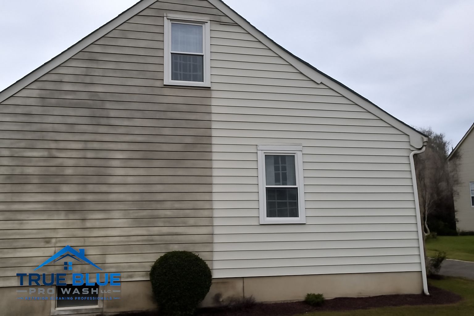 Green algae and mildew streaks on vinyl siding of a Hockessin Delaware home before soft washing