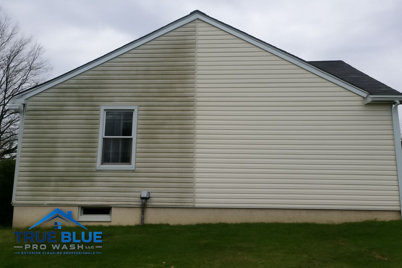 Soft washing green algae off vinyl siding on a Chester County home