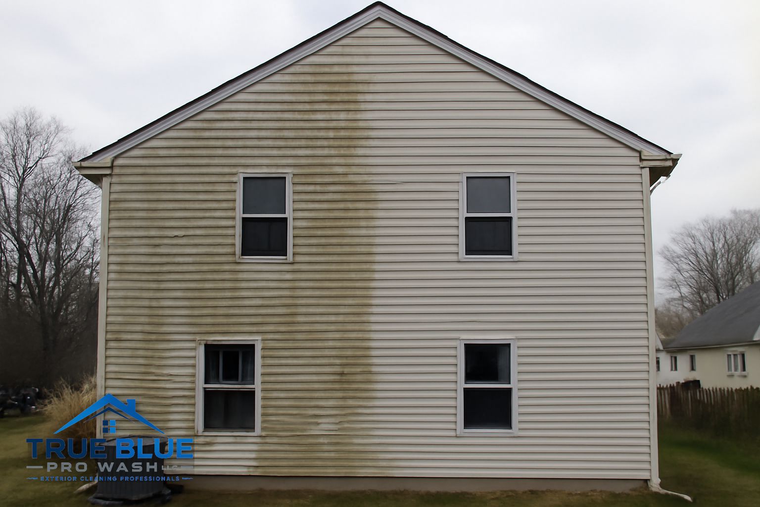 Green algae and mildew buildup on vinyl siding before soft washing in New Castle, DE