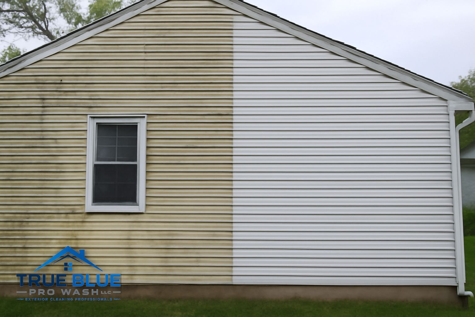 Green algae and mildew on vinyl siding of a Newark Delaware home before soft washing