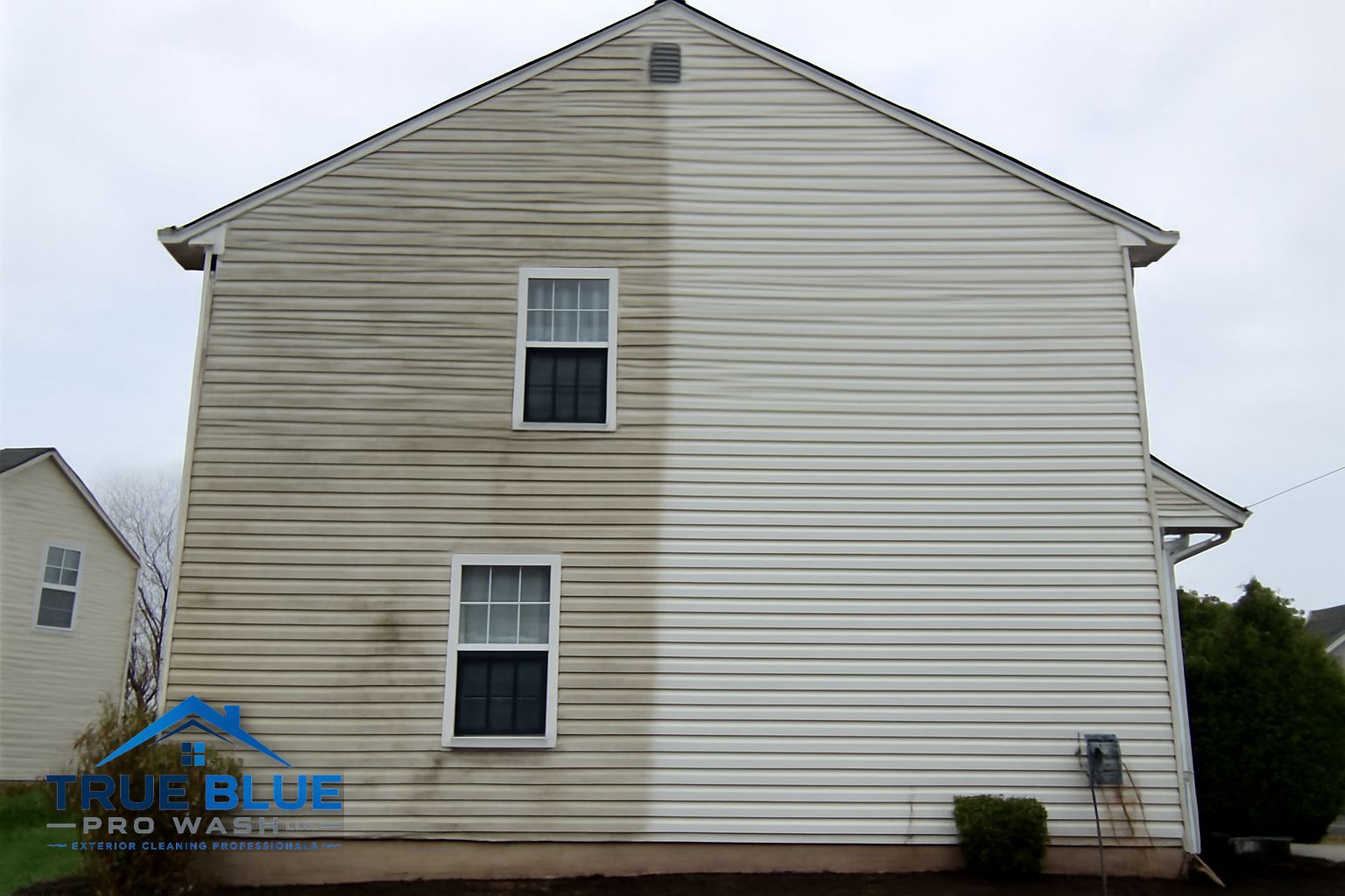 Green algae streaking down the north-facing vinyl siding of a Newark, Delaware home