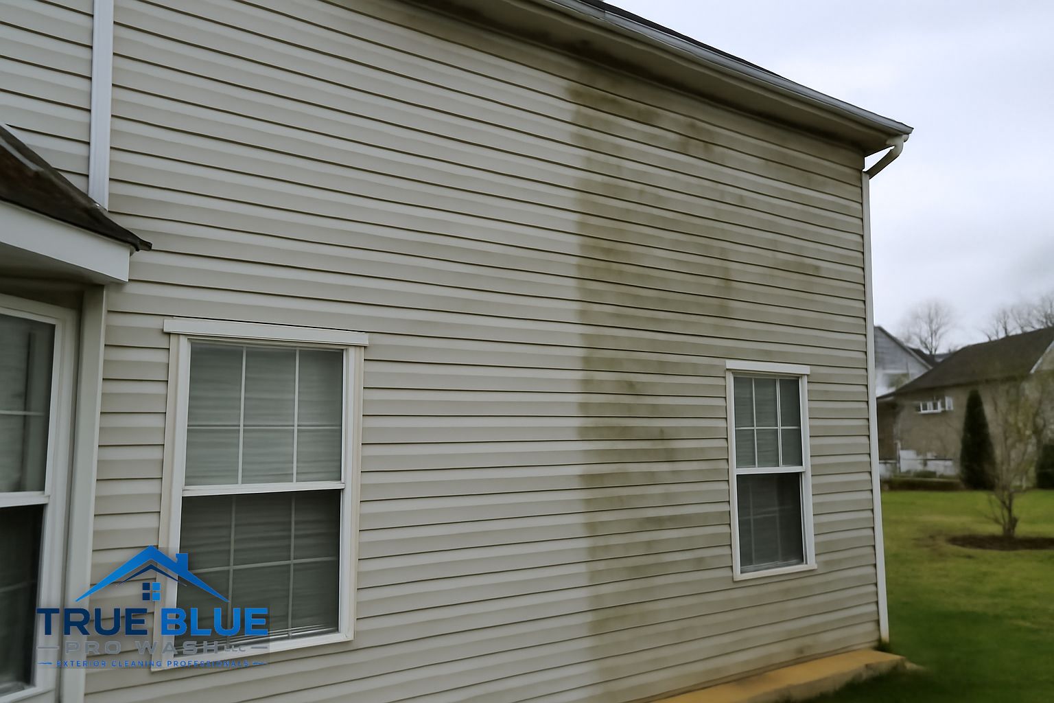 Clean bright siding on a Newark Delaware home after professional soft washing service
