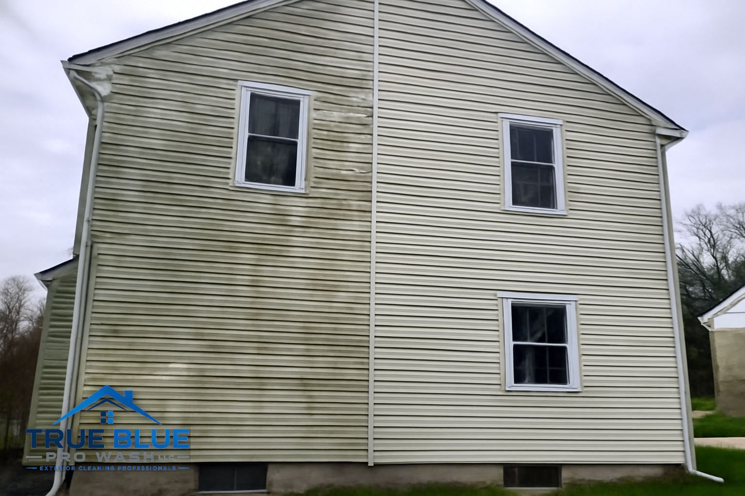 Green algae and mildew streaks on vinyl siding of a Newark DE home