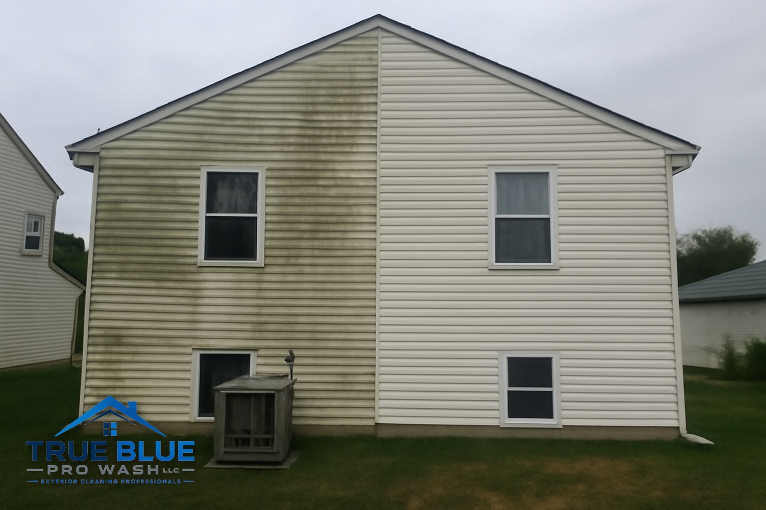 Green algae and mildew streaks on the north-facing vinyl siding of a home in New Castle, Delaware