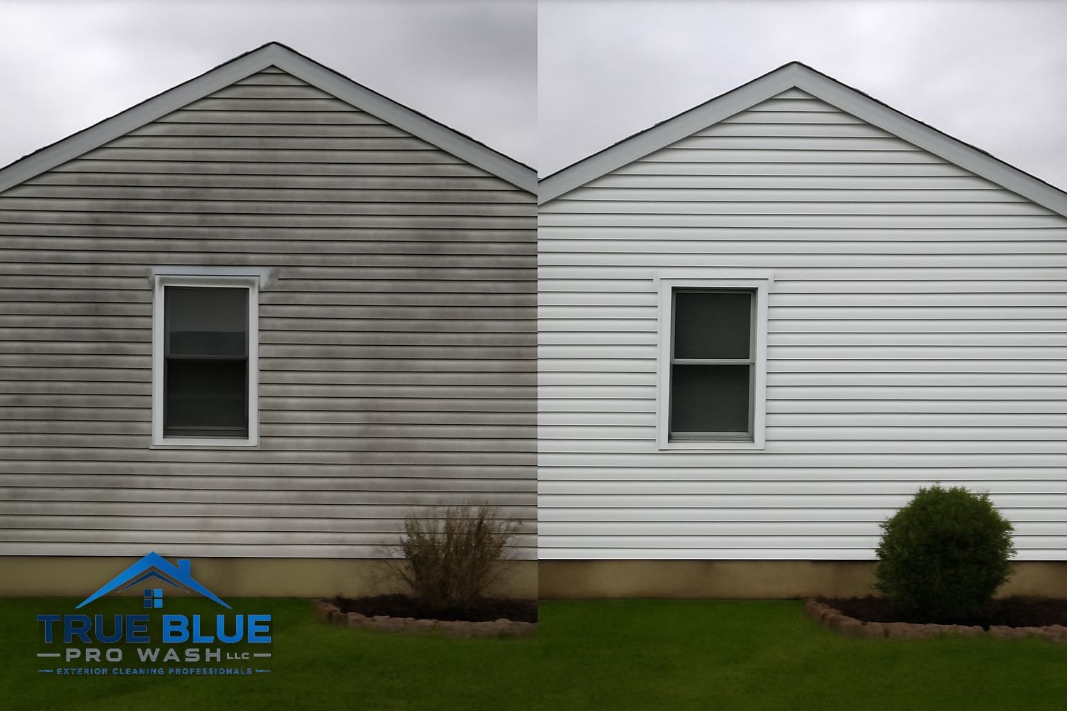 Green algae and mildew streaks on vinyl siding of a Salem County NJ home