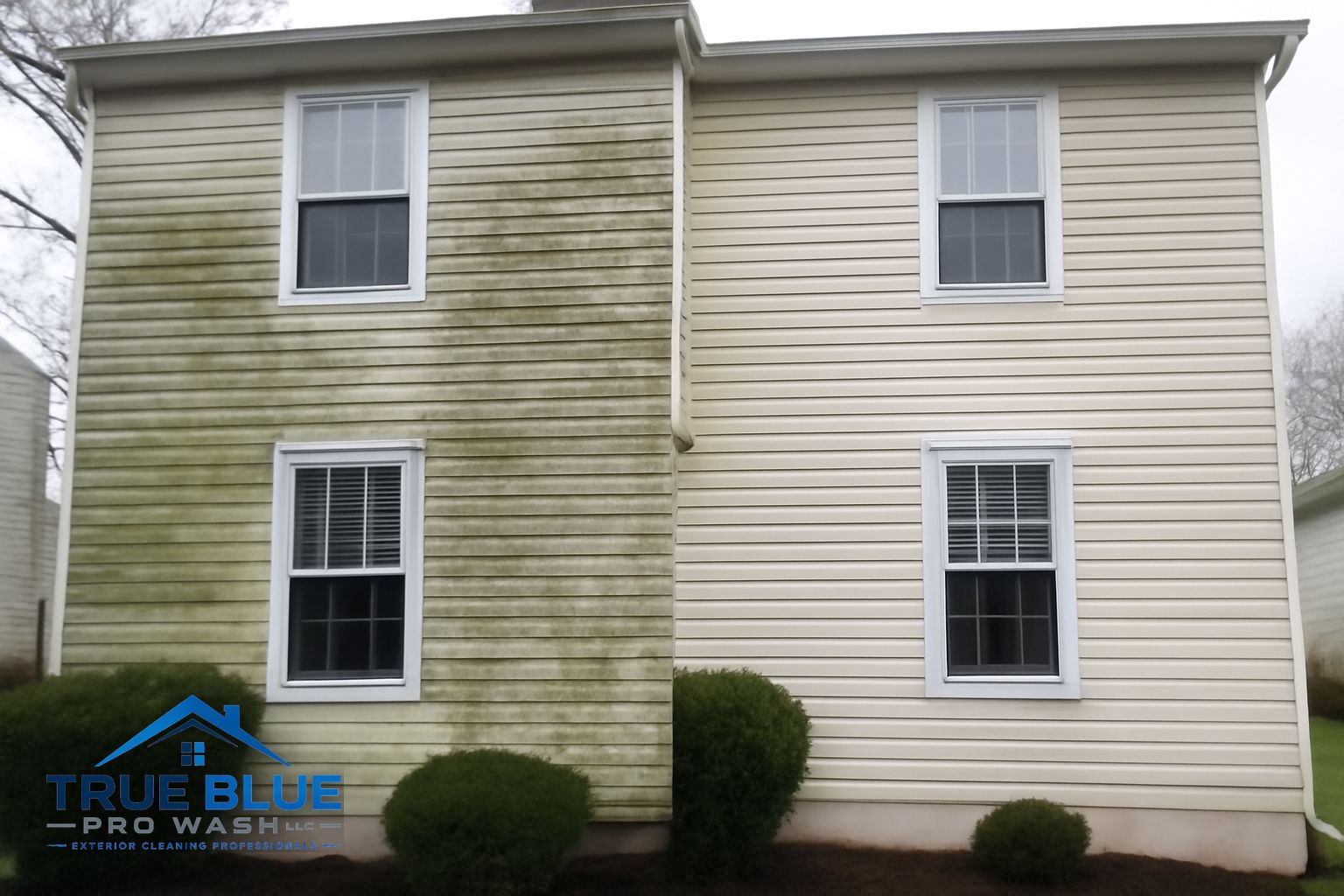 Technician soft washing the north-facing siding of a two-story home, removing green algae streaks