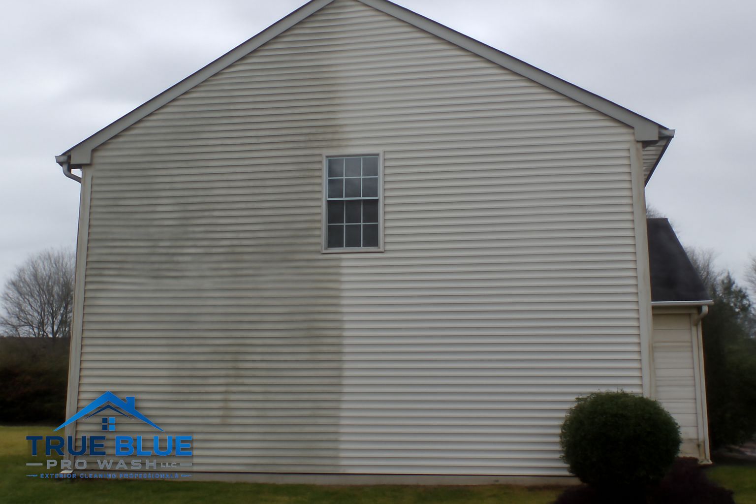 Green algae and mildew on vinyl siding of a West Chester PA home before soft washing