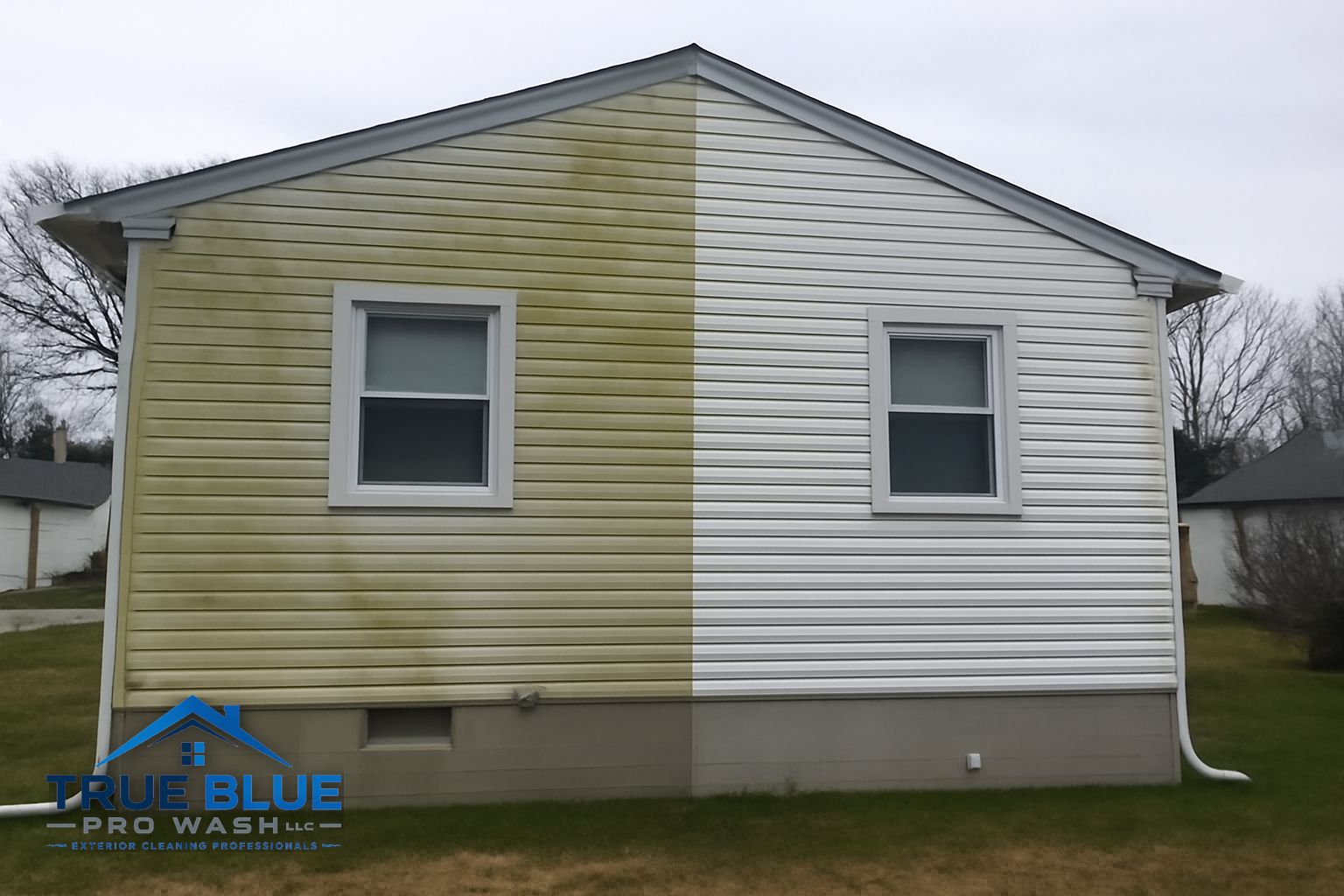 Green algae on north-facing vinyl siding before house soft washing in Brandywine Hundred Wilmington DE