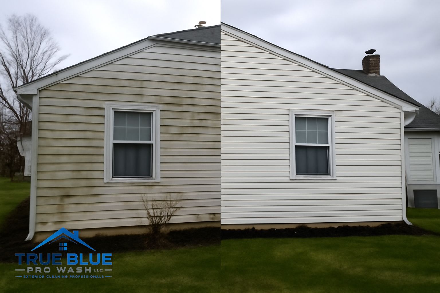 Green algae and mildew on the north-facing siding of a home in Westover Hills, Wilmington DE