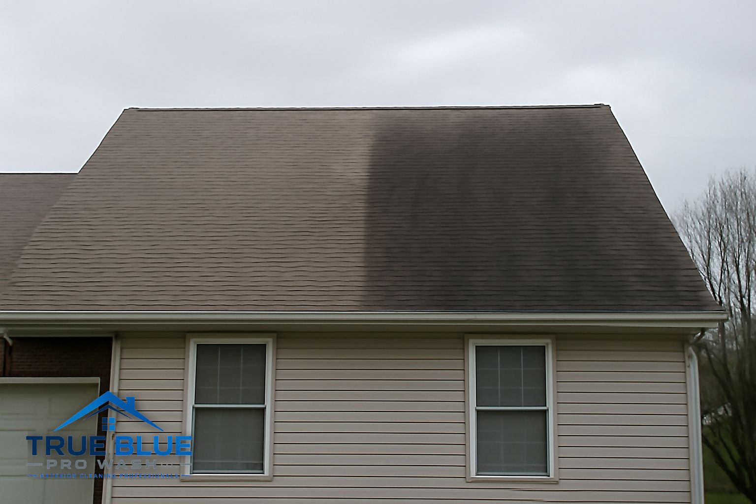 Clean asphalt shingle roof after soft washing in a Bear Delaware subdivision