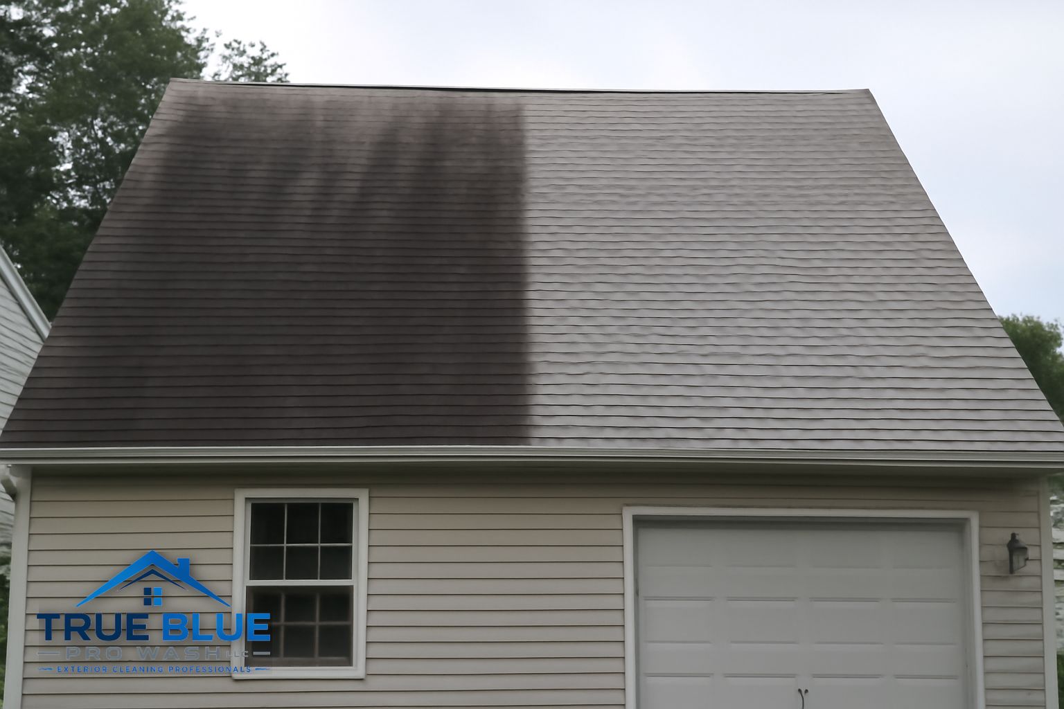 Dark algae streaks on an asphalt shingle roof in Middletown Delaware before soft washing