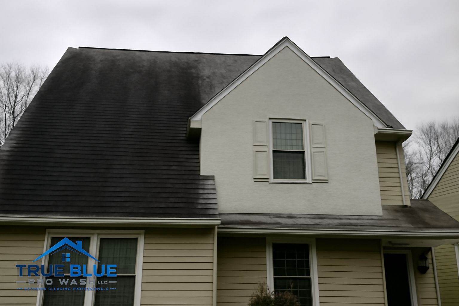 Black algae streaks on asphalt shingle roof in Greenville Delaware before soft washing