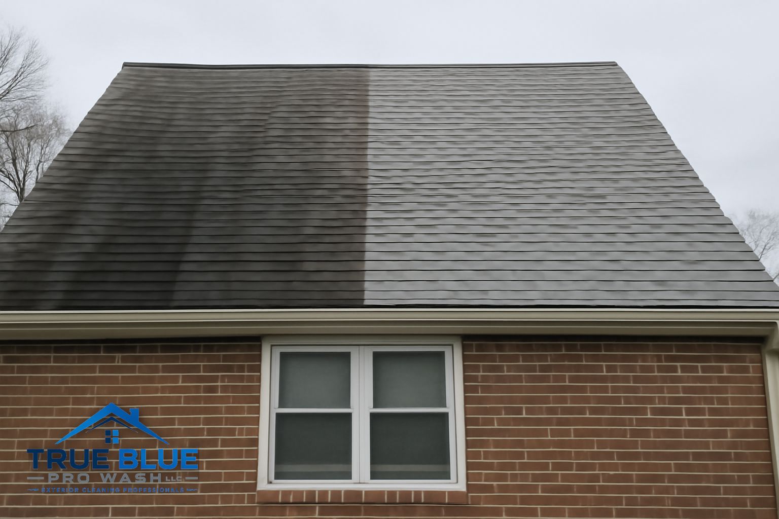 Dark Gloeocapsa magma streaks on an asphalt shingle roof in New Castle, Delaware before soft washing treatment