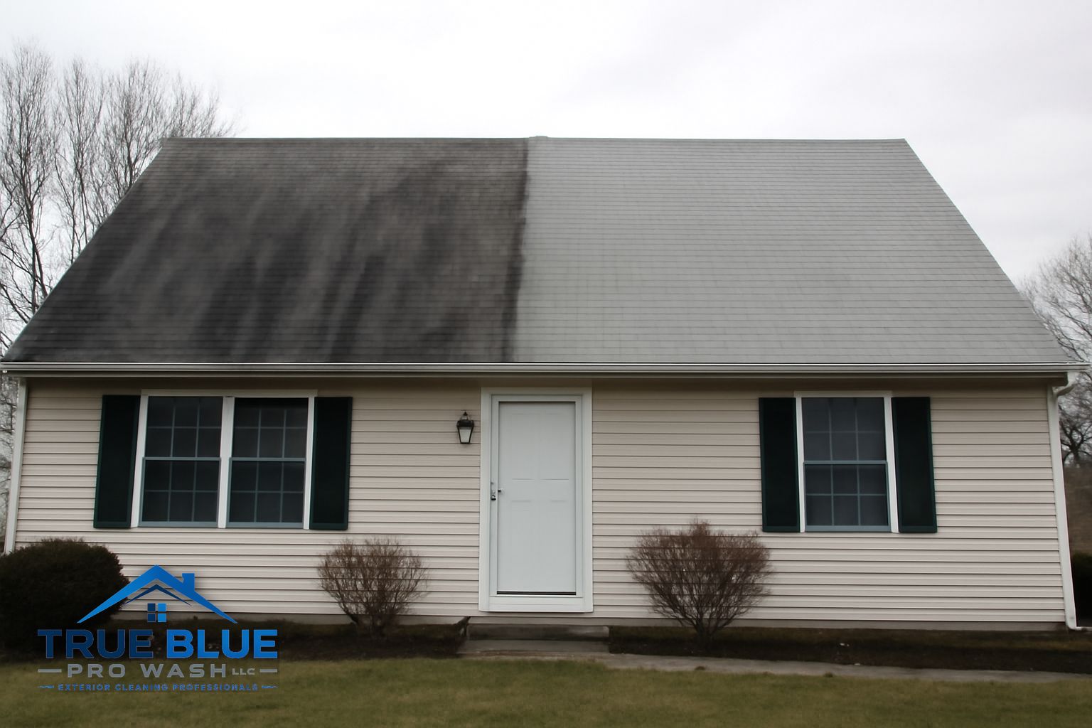 Black algae streaks on asphalt shingle roof in New Castle Delaware before soft washing