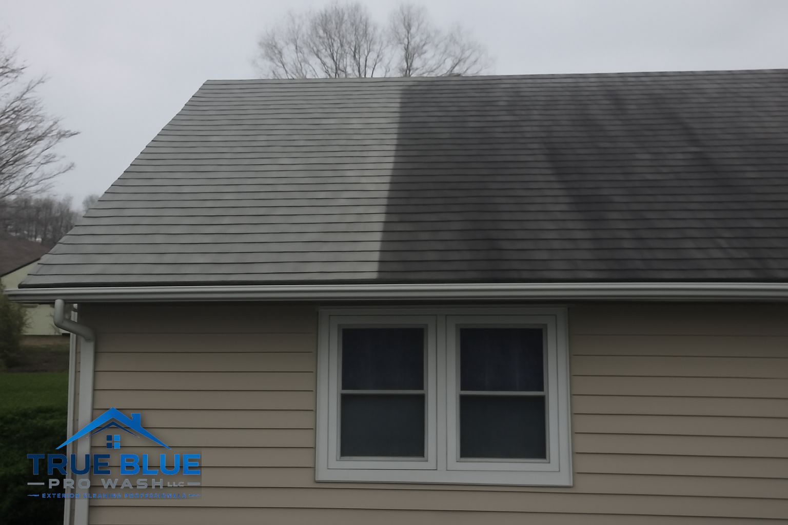 Clean asphalt shingle roof after True Blue Pro Wash soft washing service in the New Castle Delaware area