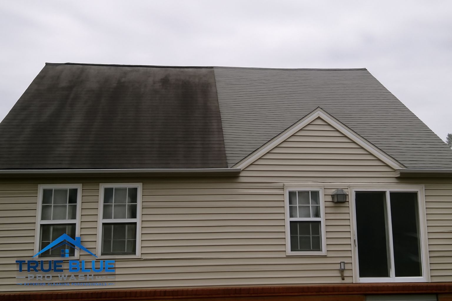 Dark Gloeocapsa magma algae streaks on asphalt shingles on a Newark, DE home