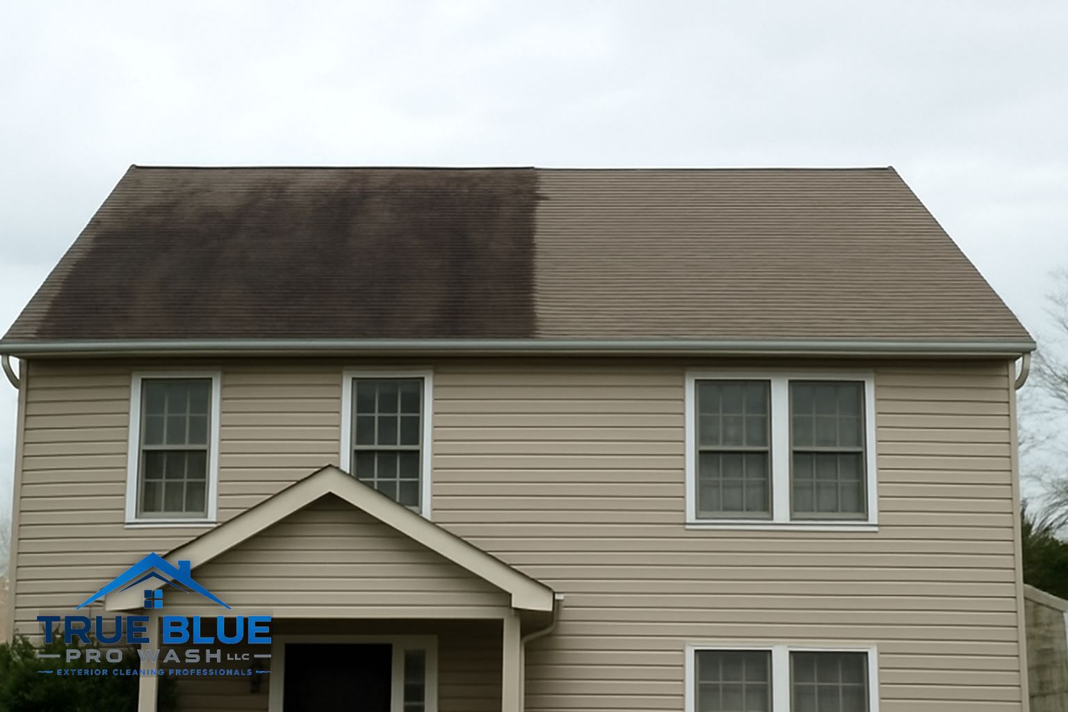 Dark Gloeocapsa magma streaks on an asphalt shingle roof in West Chester PA before soft washing