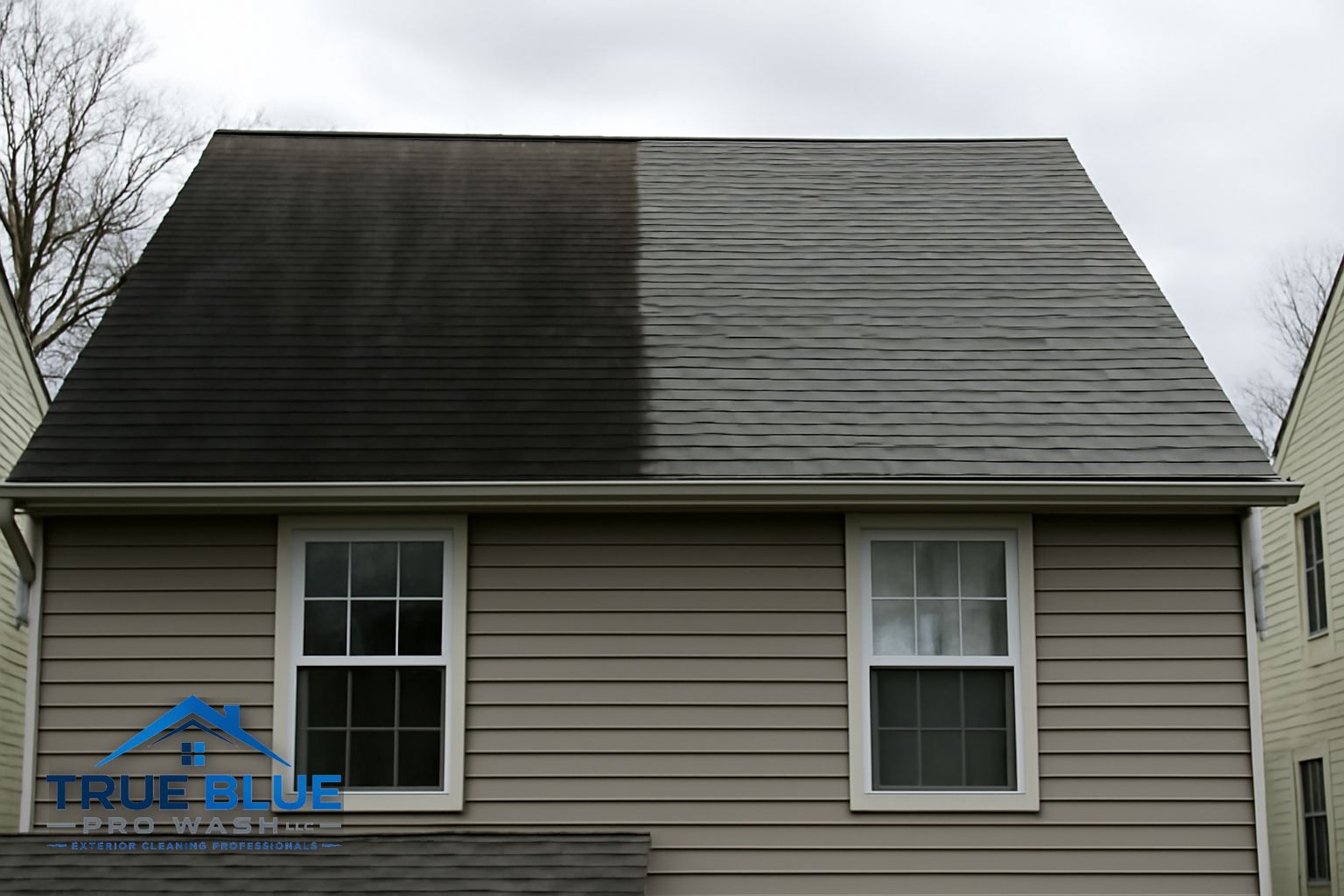 Clean residential roof with no algae streaks after soft washing in West Chester PA