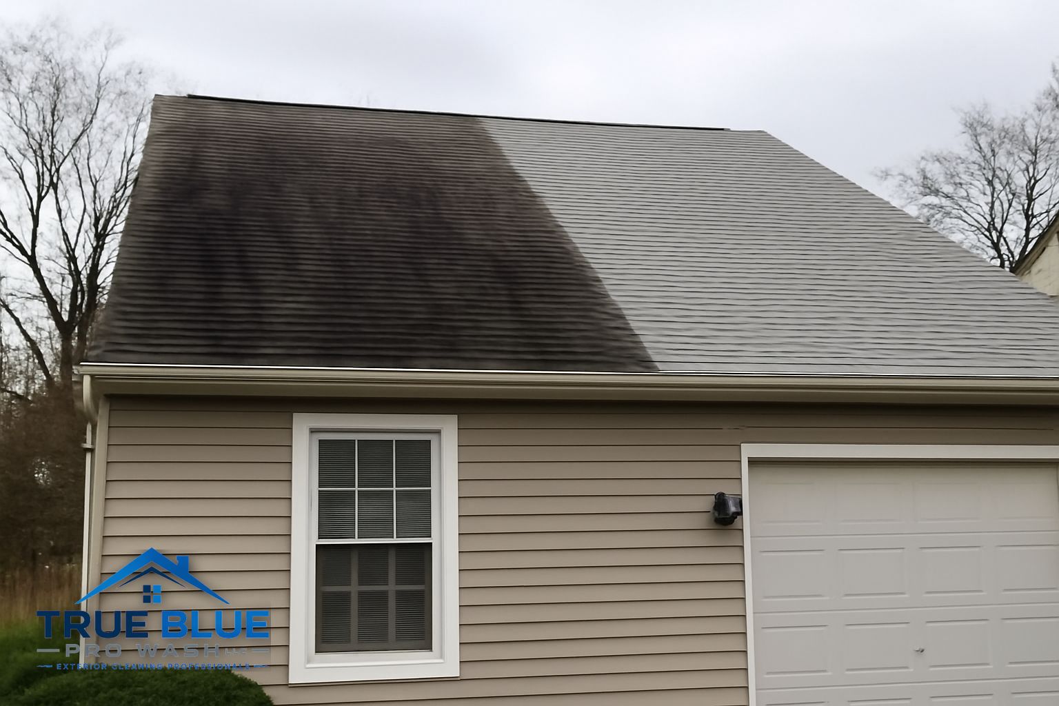 Black algae streaks on asphalt shingles before soft washing treatment in West Chester PA