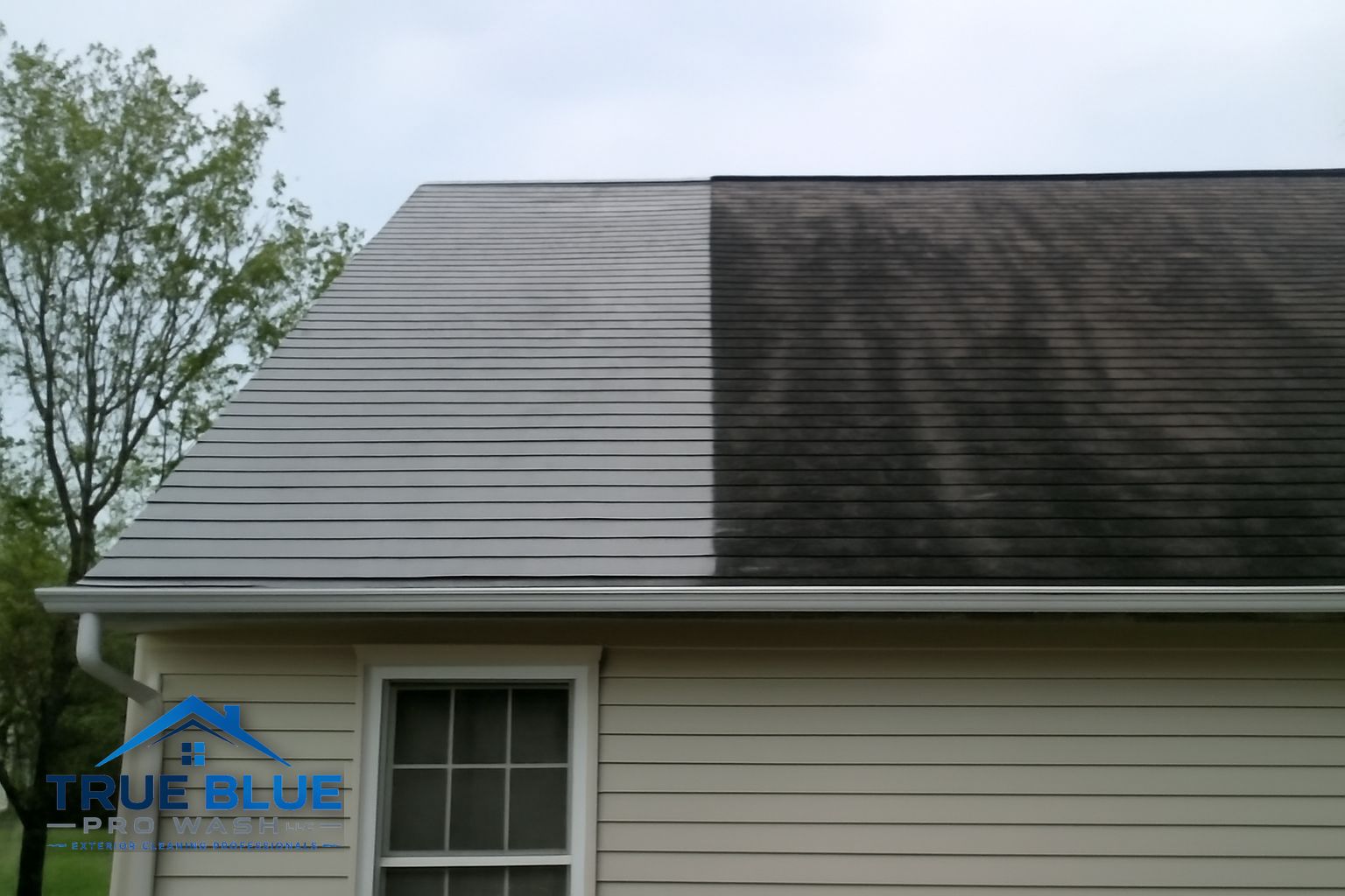 Clean asphalt shingle roof after professional soft washing treatment showing uniform color and no algae streaks