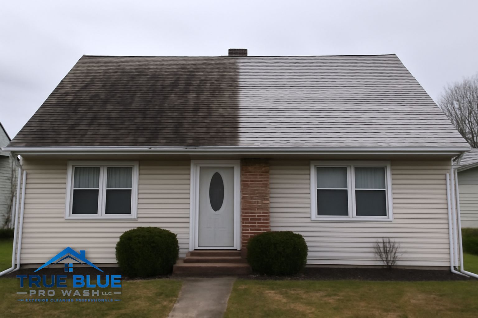 Black algae streaks on a residential asphalt shingle roof in Wilmington Delaware before soft wash treatment