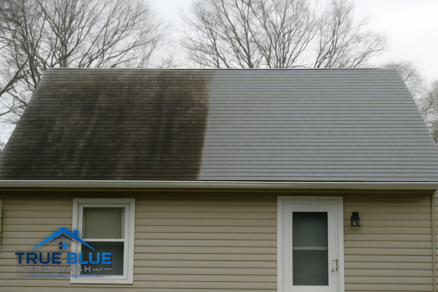 Residential roof in Wilmington Delaware after professional soft wash treatment showing clean streak-free shingles