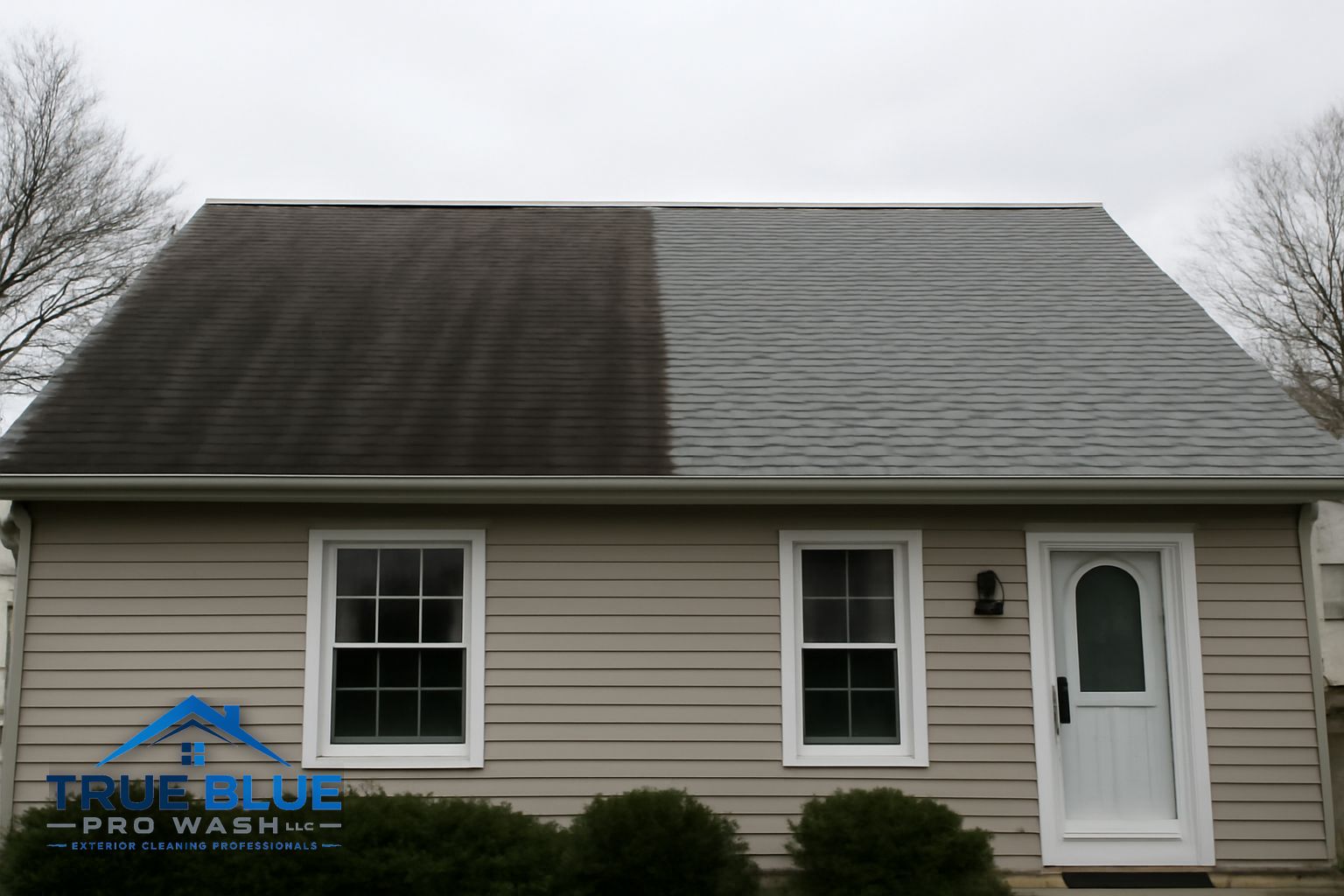 Dark black algae streaks running down asphalt shingles on a Wilmington Delaware home before soft washing treatment