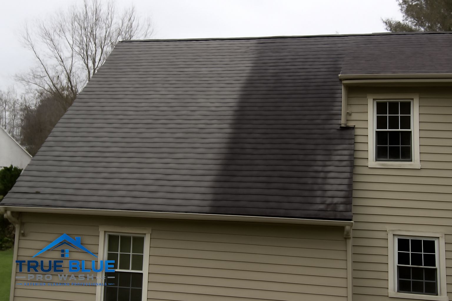 Clean asphalt roof after soft washing treatment in Wilmington Delaware neighborhood showing restored shingle color