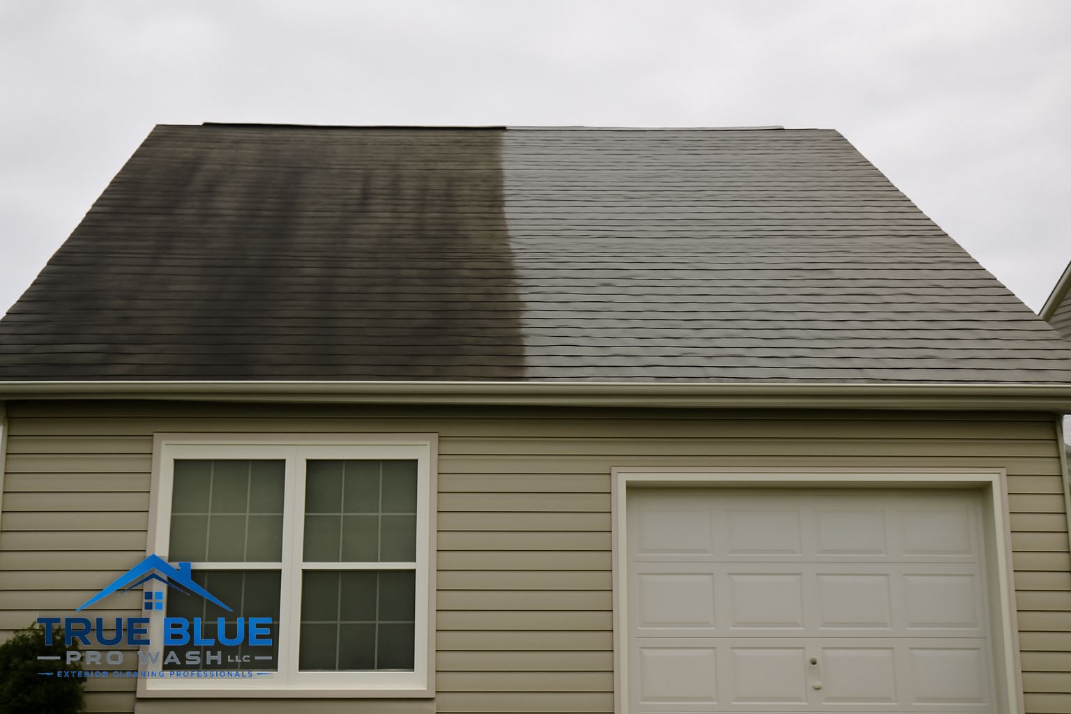Black algae streaks on an asphalt shingle roof in Wilmington, Delaware before soft washing treatment