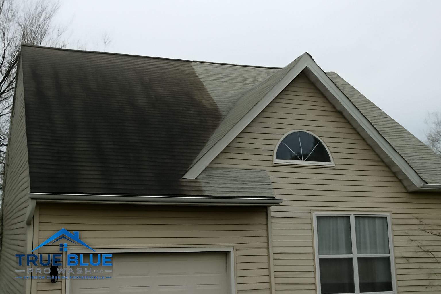 Dark Gloeocapsa magma algae streaks running down asphalt shingles on a Wilmington Delaware home