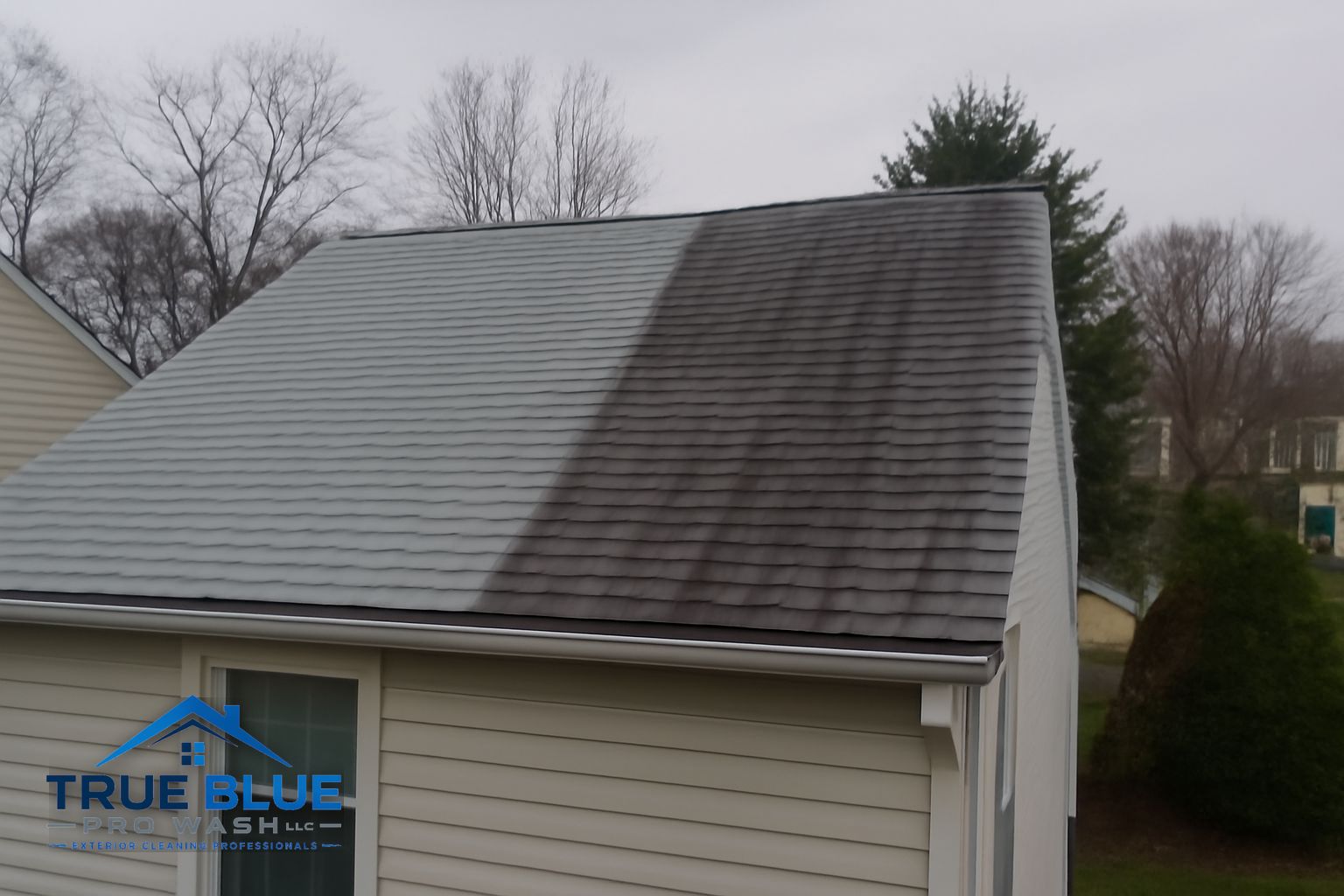True Blue Pro Wash technician applying soft wash solution to a residential roof in New Castle County Delaware
