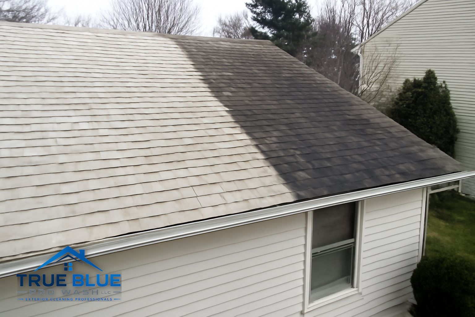 Gutters and roofline of a Wilmington Delaware home being soft washed by True Blue Pro Wash crew