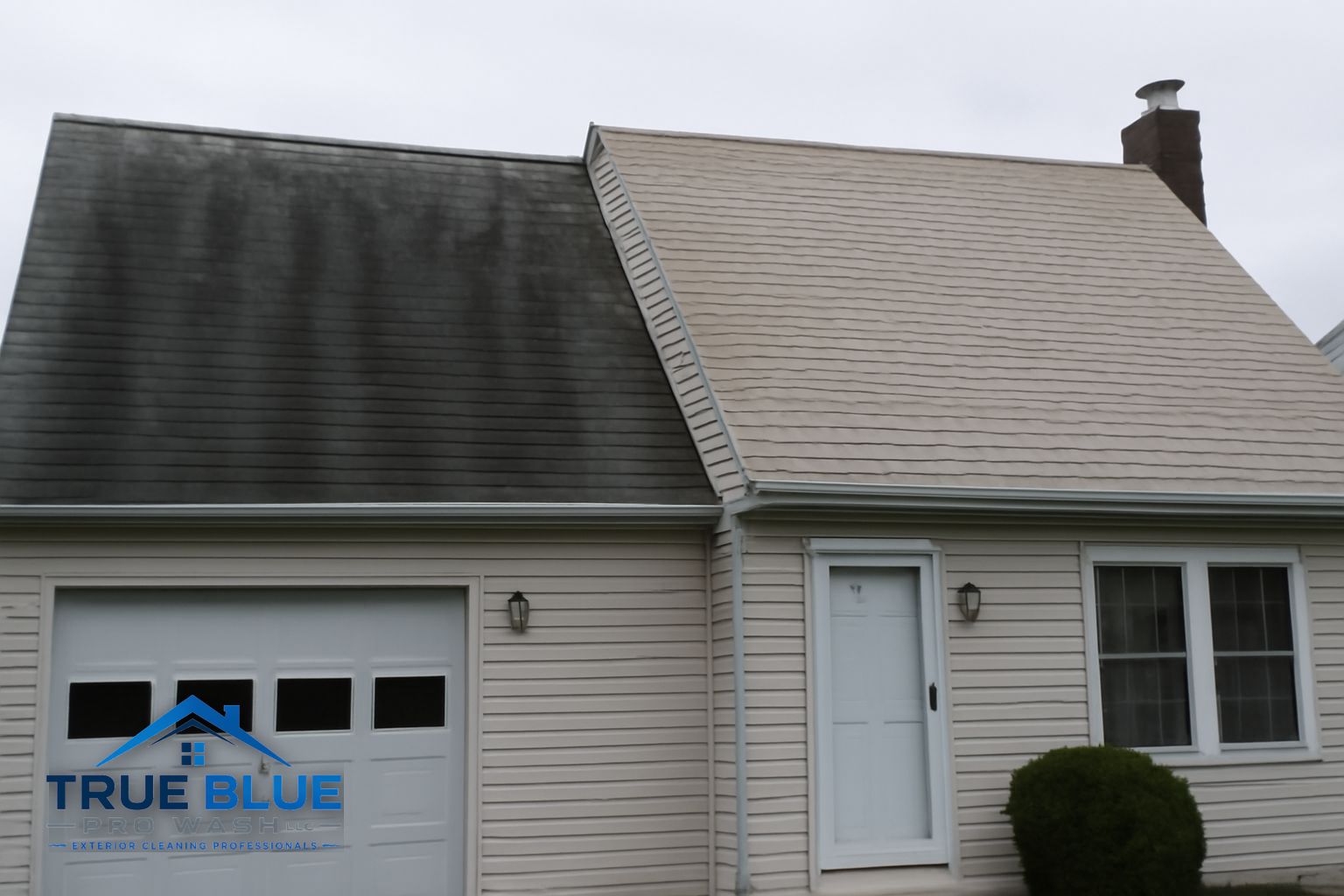 Black algae streaks on asphalt shingles on a Brandywine Hundred home in Wilmington, DE 19810